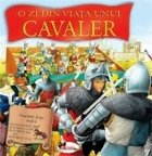 din viata unui cavaler