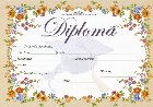 Diploma D2 2025