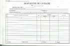 Dispozitie de livrare