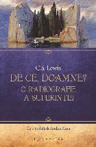 De ce, Doamne?.O radiografie a suferinței