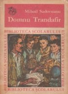 Domnu Trandafir