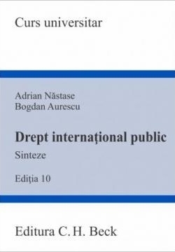 Drept internaţional public : sinteze