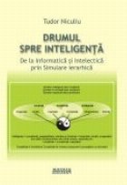 Drumul spre inteligenta. De la informatica si intelectica prin simulare ierarhica