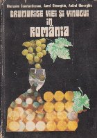 Drumurile Viei si Vinului in Romania