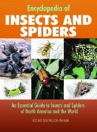 ENCYCLOPEDIA INSECTS AND SPIDERS