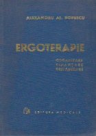 Ergoterapie Organizare finantare desfasurare