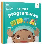 Ce este programarea