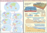 Evolutia continentelor si bazinelor oceanelor / Relieful major al continentelor si bazinelor oceanelor (duo)