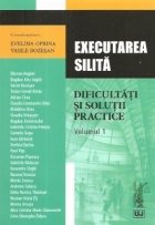 Executarea silita Dificultati solutii practice
