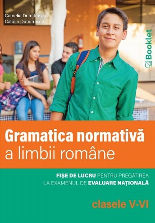 Exerciţii şi fără probleme – Gramatică : clasele V-VI