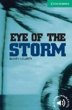 Eye the Storm Level