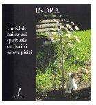 Un fel de haiku-uri spirituale cu fllori si cateva pisici