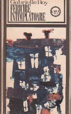 coperta Fericire intamplatoare