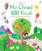 My first 100 words in Irish