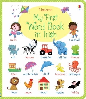 My first word book in Irish