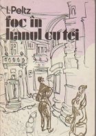 Foc hanul tei