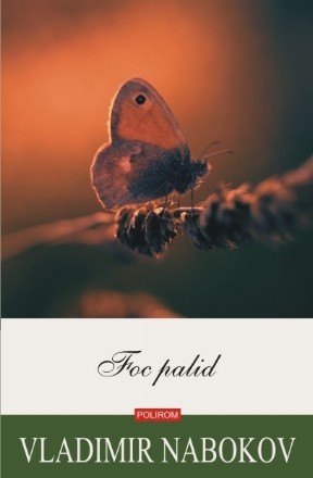 Foc palid