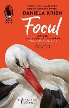 Focul