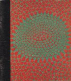 coperta Forma si procesul de creatie in pictura americana a secolului douazeci