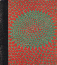 Forma si procesul de creatie in pictura americana a secolului douazeci