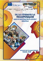 formare transformare ghid bune practici