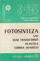 Fotosinteza sau cum transforma plantele lumina Soarelui