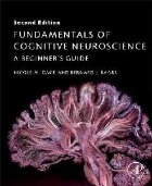 Fundamentals of Cognitive Neuroscience