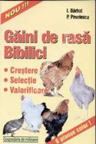 Gaini rasa bibilici (crestere selectie