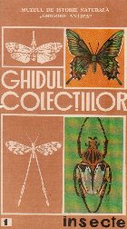 Ghidul colectiilor, 1 Insecte