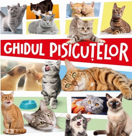 Ghidul pisicuţelor
