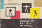 Gimnastica la locul de munca - Programe de exercitii pe grupe de profesii