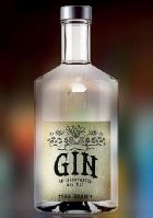 Gin: Illustrated History