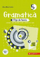 Gramatică fişe lucru lecţii şi