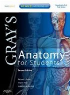 Gray s Anatomy For Students