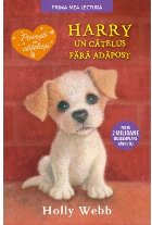Harry catelus fara adapost (necartonata)