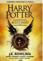 Harry Potter copilul blestemat Scenariul