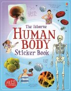 Human body sticker book