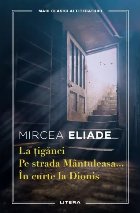 La ţigănci,Pe strada Mântuleasa...,În curte la Dionis