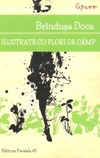 Ilustrate cu flori de camp