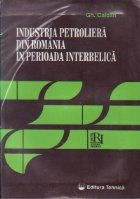 Industria petroliera din Romania perioada