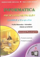Informatica Fise lucru pentru elevi