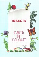 Insecte. Carte de colorat