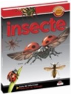 Insecte - Prima mea enciclopedie