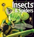 INSIDERS INSECTS AND SPIDERS