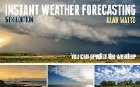 Instant Weather Forecasting
