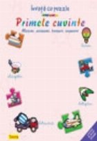 Invata puzzle masini avioane trenuri