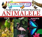 Invata culorile numerele impreuna animalele