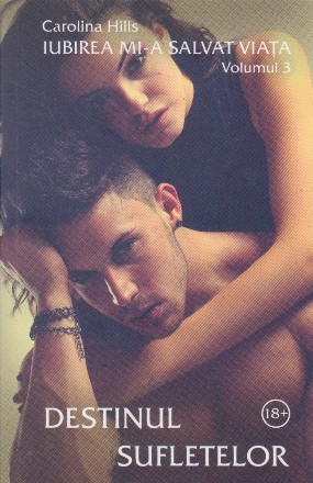 Iubirea mi-a salvat viata, Volumul al III-lea, Destinul sufletelor