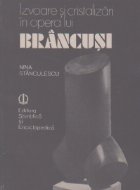 Izvoare cristalizari opera lui Brancusi