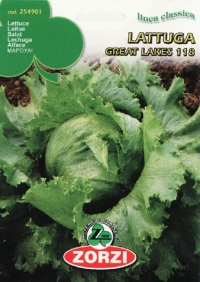 Lattuga great lakes 118 brasiliana